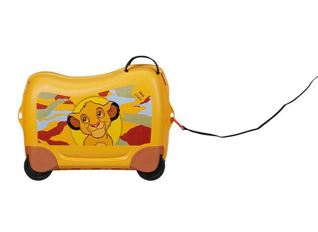 Multifunkční popruh