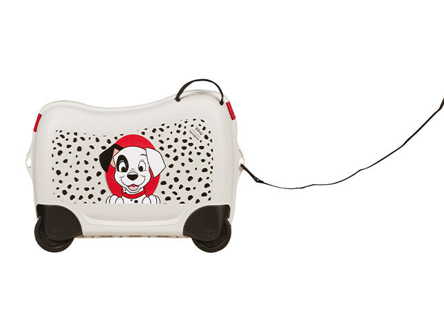 Multifunkční popruh