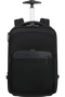 Samsonite Evosight Backpack with Wheels 17.3'  Černá Samsonite Evosight Backpack with Wheels 17.3'  Černá