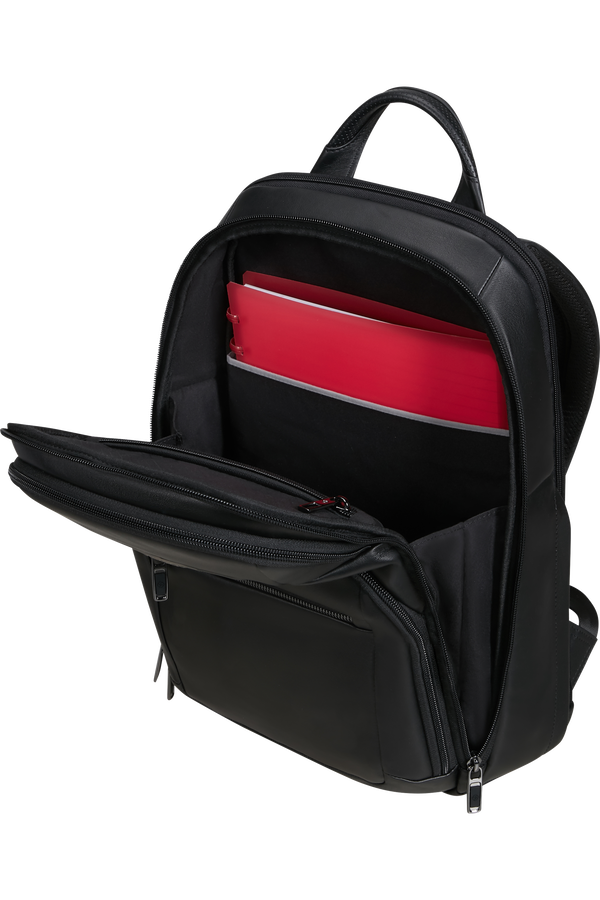 Samsonite Pro-Dlx 6 Leather Backpack 14.1'  Černá Samsonite Pro-Dlx 6 Leather Backpack 14.1'  Černá
